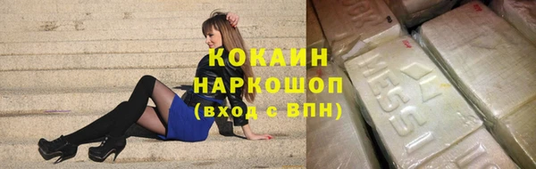 крисы Кодинск