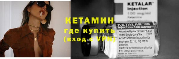 крисы Кодинск