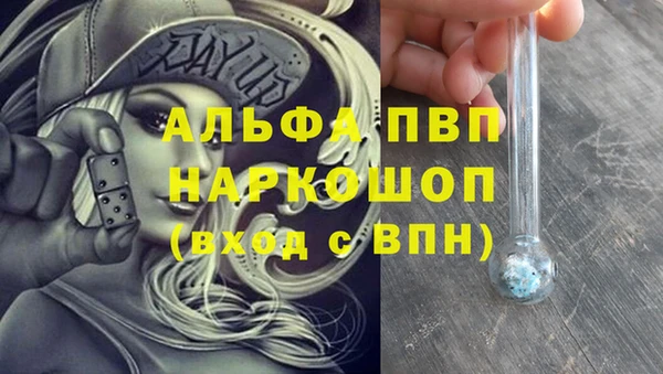 крисы Кодинск